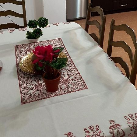 City Center Apartment Shkodër 외부 사진