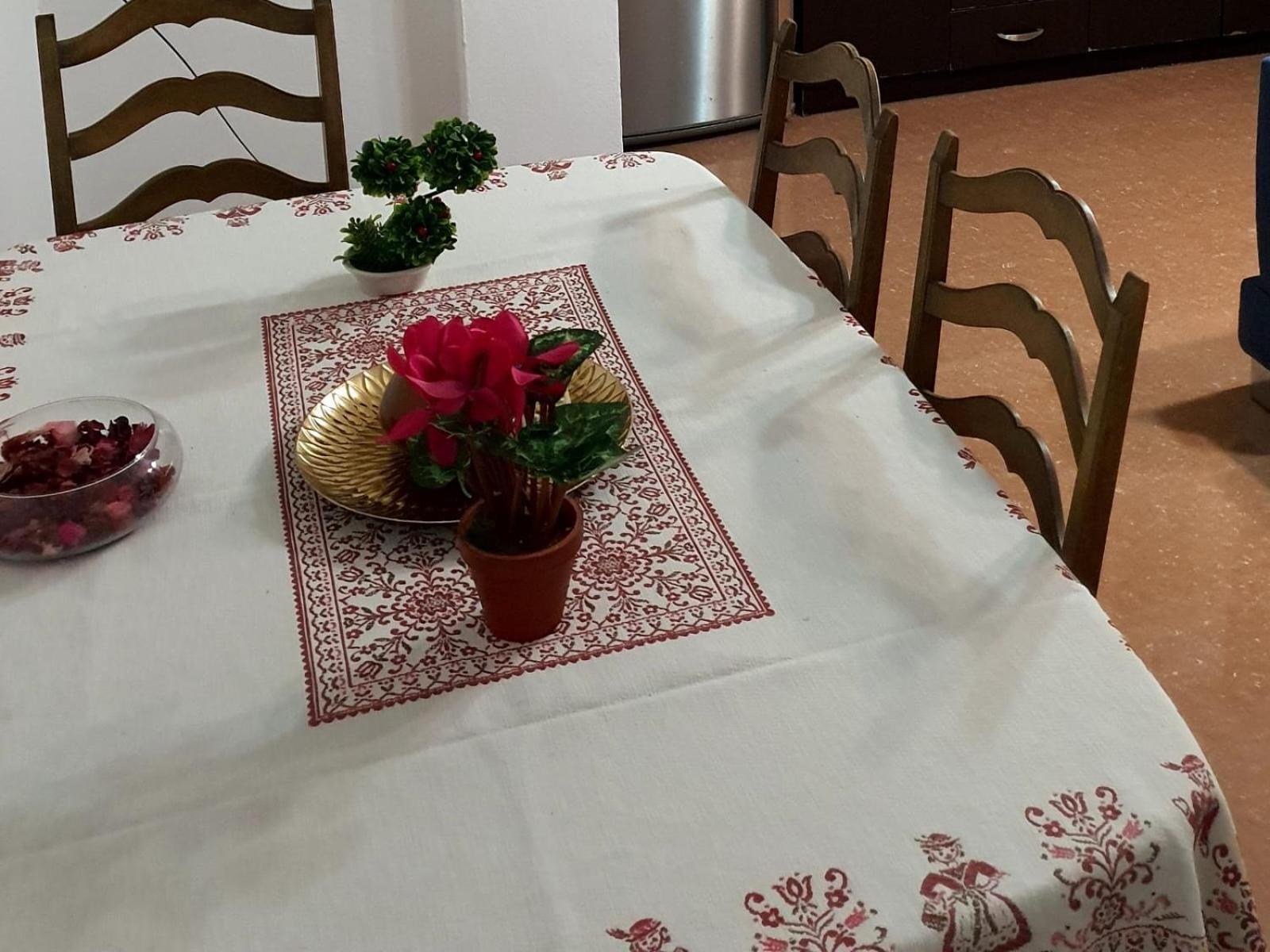 City Center Apartment Shkodër 외부 사진